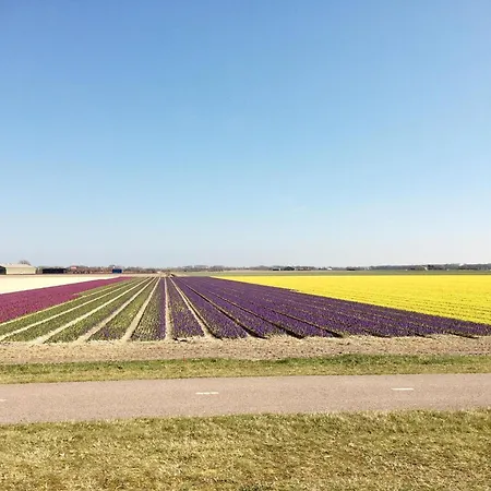 Prázdninový dům Relax Cozy Dirkshorn