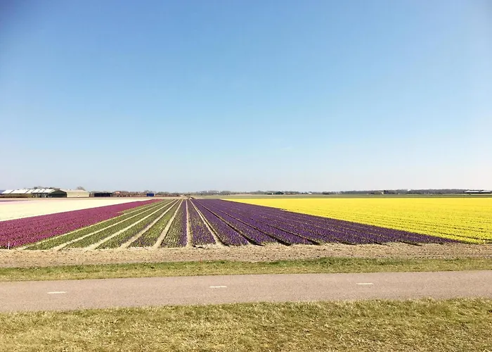 Дом отдыха Relax Cozy Dirkshorn