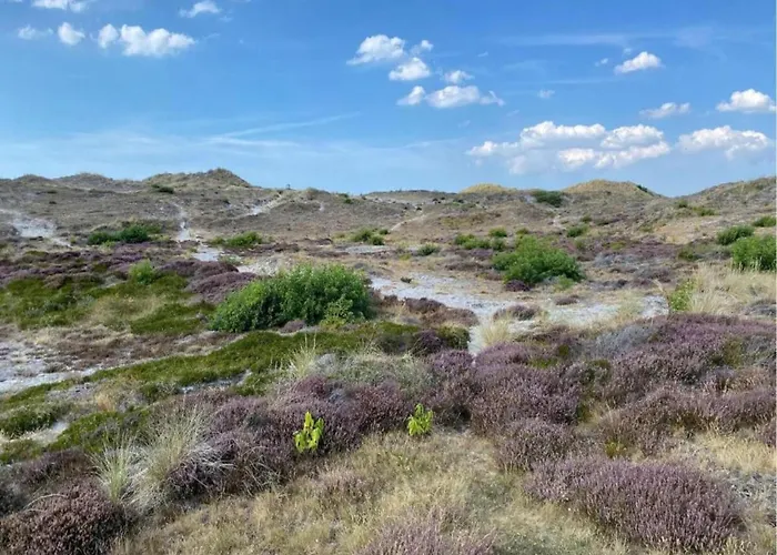 Relax Cozy Дом отдыха Dirkshorn