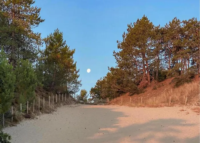 Дом отдыха Relax Cozy Dirkshorn