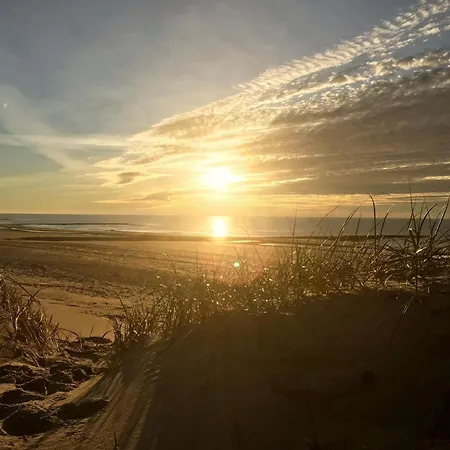 Relax Cozy Hébergement de vacances Dirkshorn