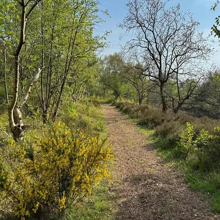 Relax Cozy Hébergement de vacances Dirkshorn