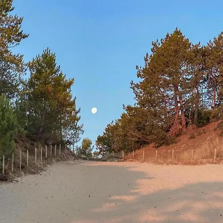 Hébergement de vacances Relax Cozy Dirkshorn