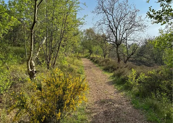 Relax Cozy Casa vacanze Dirkshorn