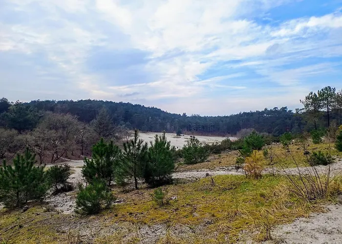 Relax Cozy Dirkshorn